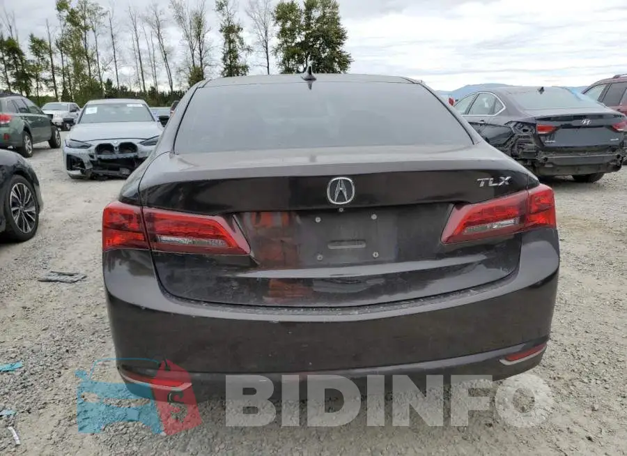 19UUB1F32GA007511 Photo# 6