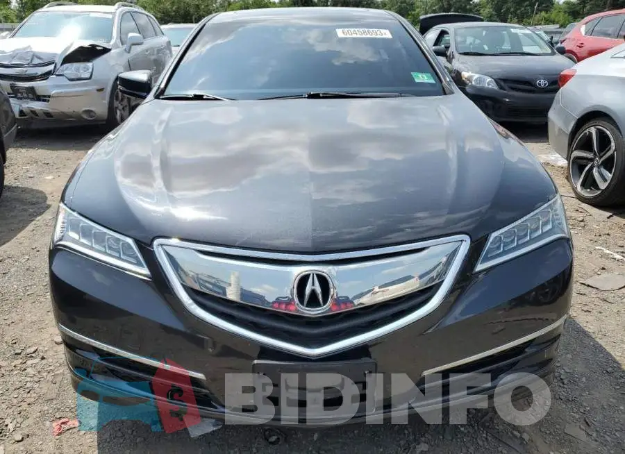 19UUB1F59FA011345 Photo# 5