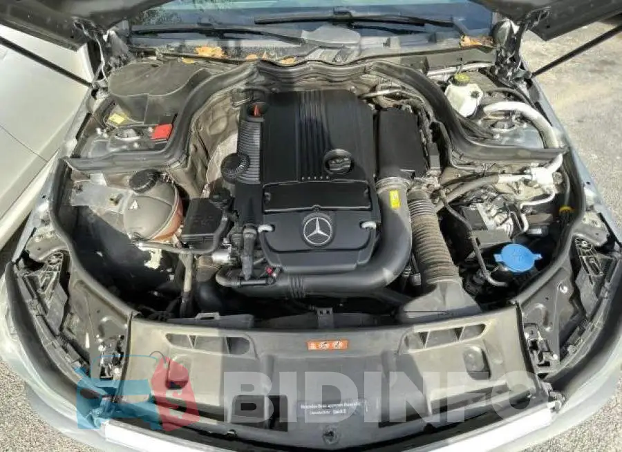WDDGJ4HB4FG360516 Photo# 7