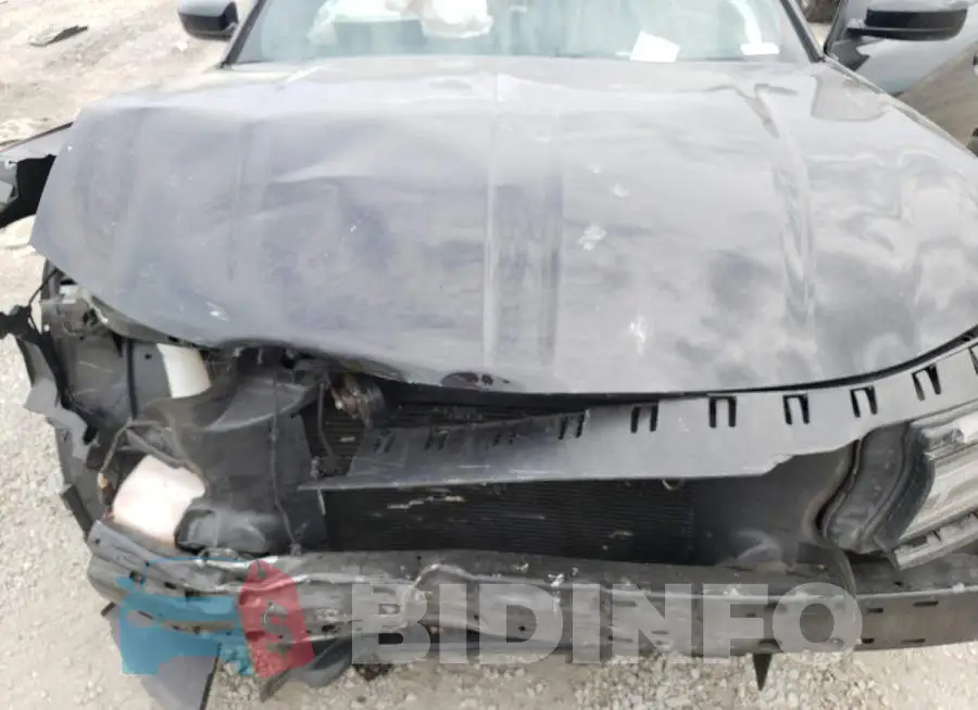 2C3CDXGJ2KH665302 Photo# 11