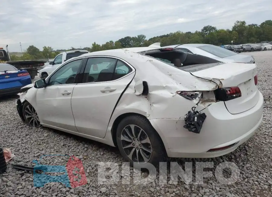 19UUB1F57FA000392 Photo# 2
