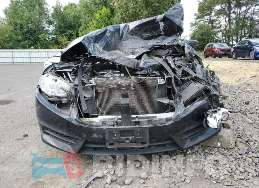 19XFC2F50HE208916 Photo# 5