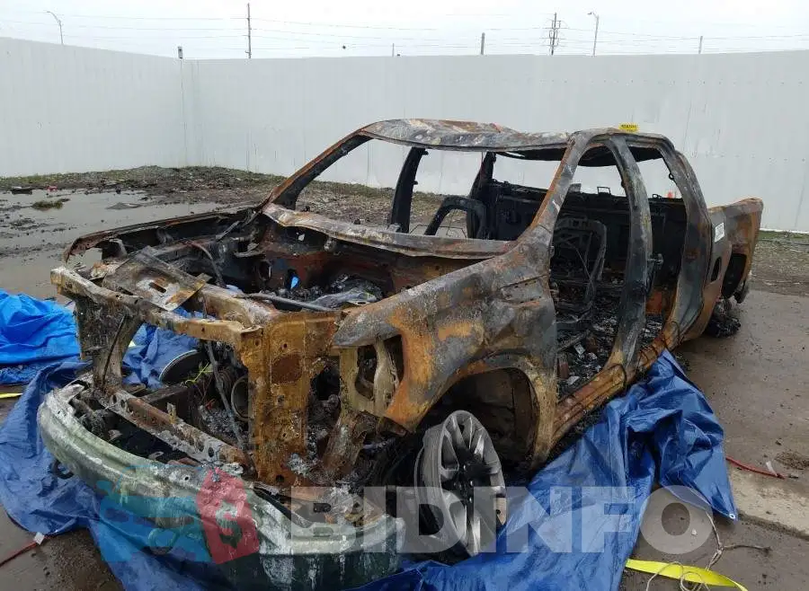 N0V1N0NS1E Photo# 2