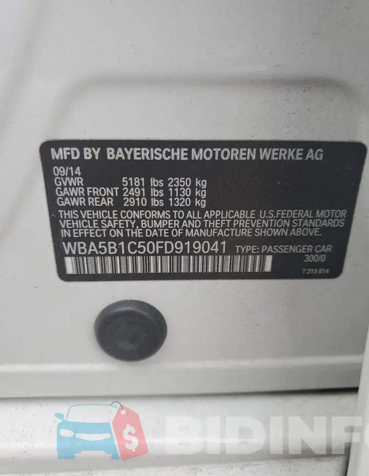 WBA5B1C50FD919041 Photo# 12