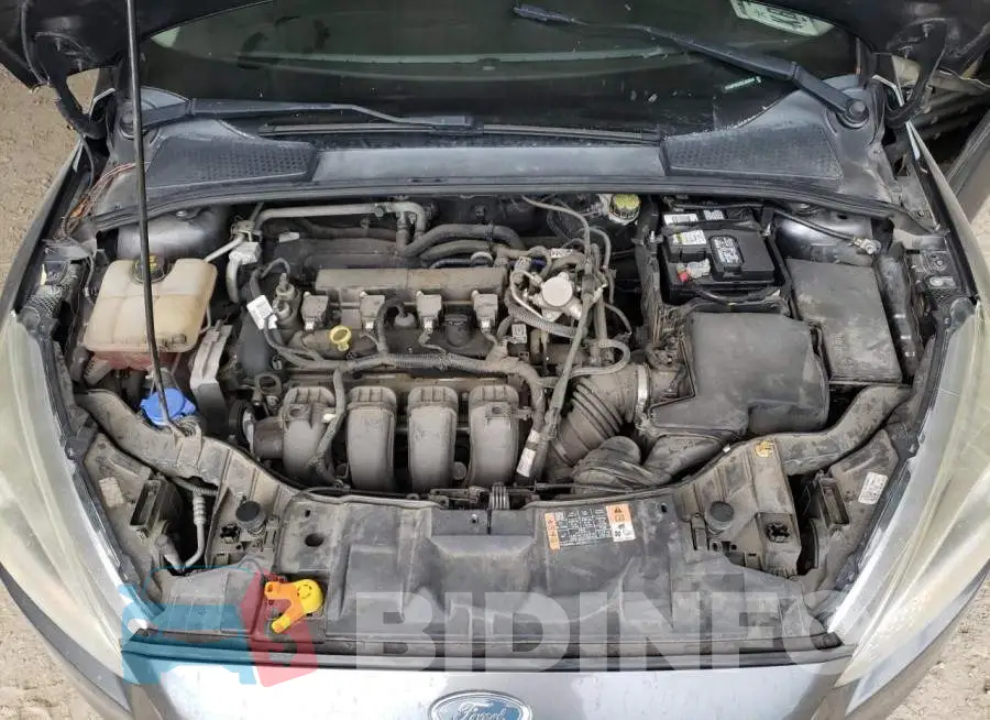 1FADP3E2XGL360044 Photo# 11