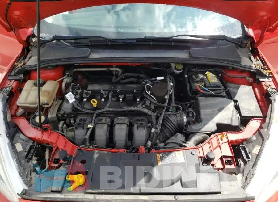 1FADP3F22GL271938 Photo# 11