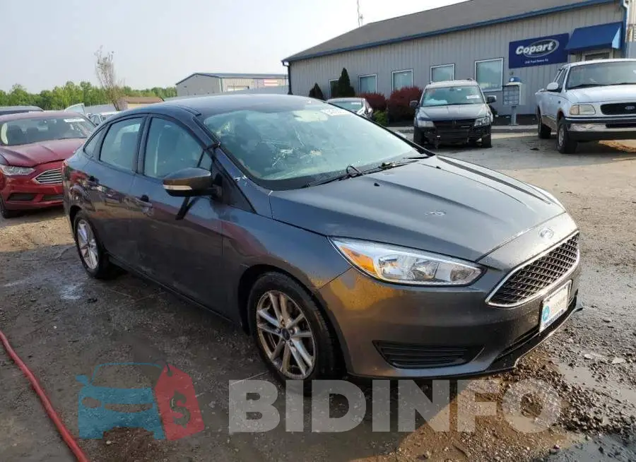 1FADP3F29GL234191 Photo# 4