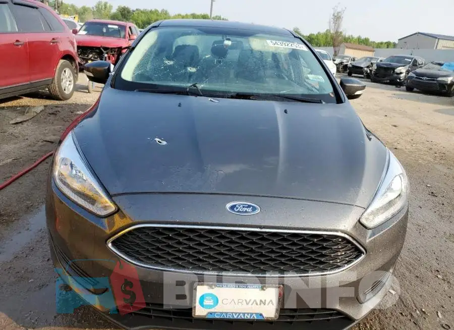 1FADP3F29GL234191 Photo# 5