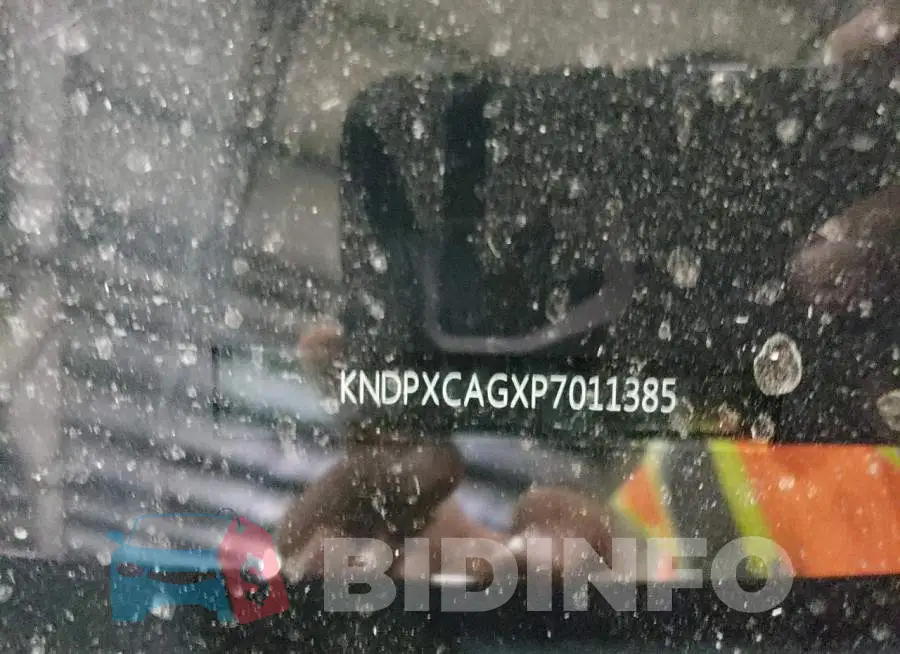 KNDPXCAGXP7011385 Photo# 13
