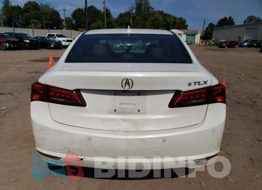 19UUB2F73FA004382 Photo# 6