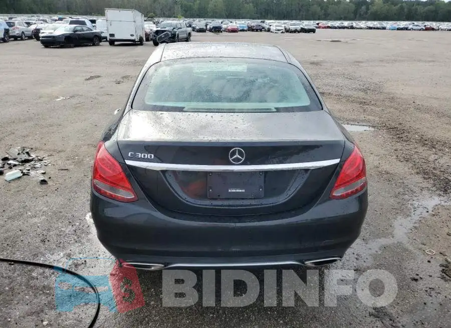 WDDWF4JB4GR146655 Photo# 6