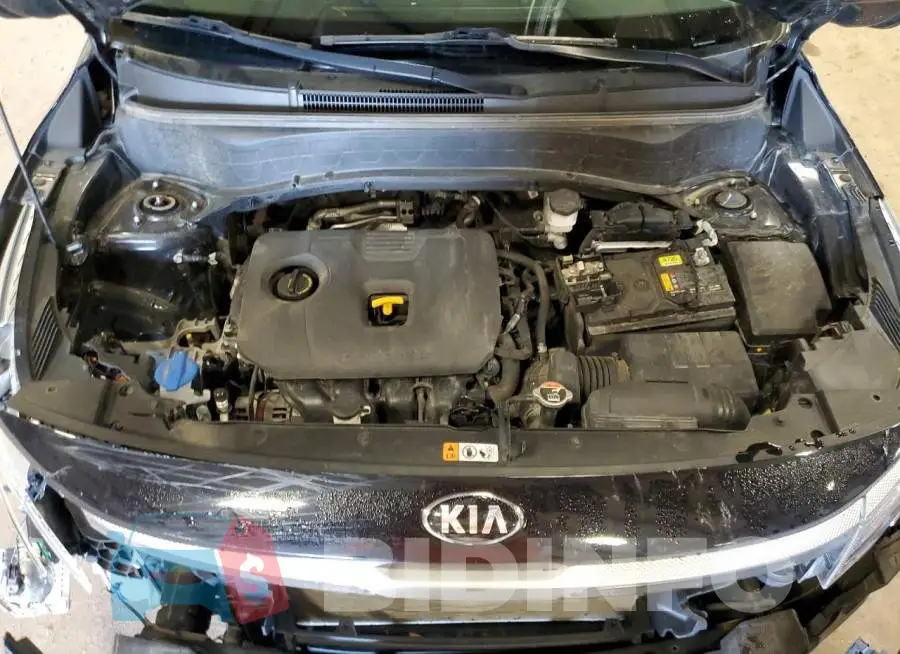 KNDERCAA3M7043314 Photo# 12