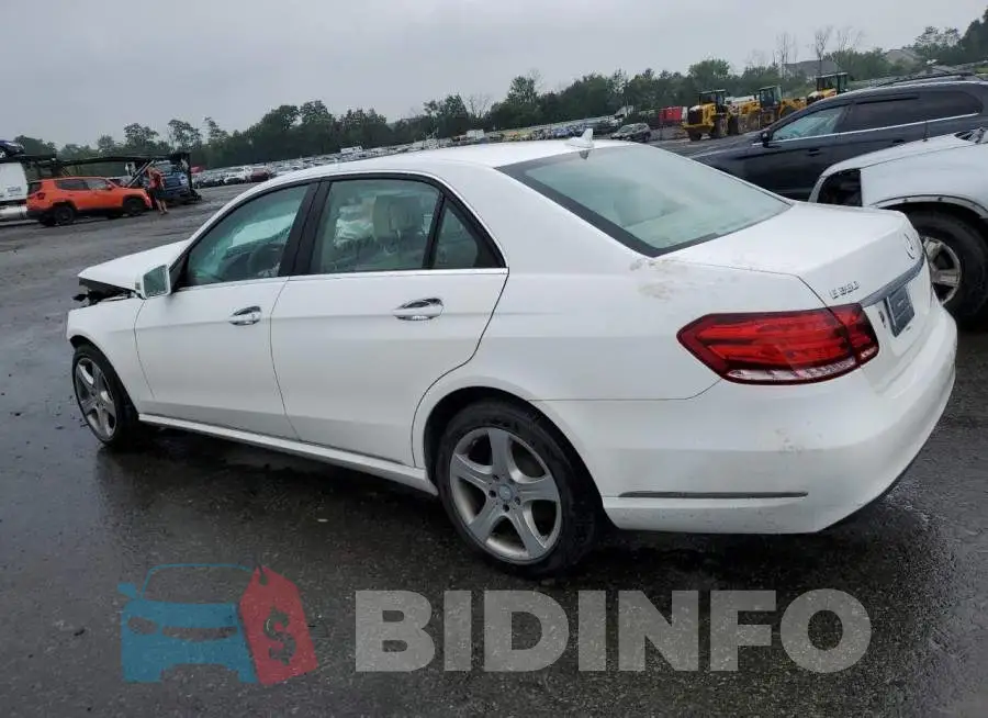 WDDHF8JB2FB122667 Photo# 2