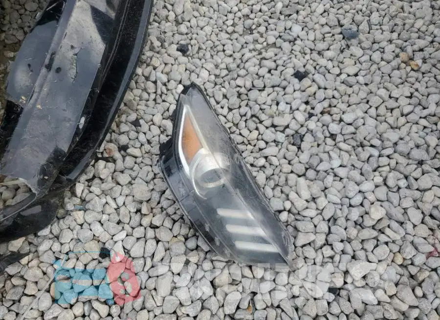 1FATP8FF7F5402652 Photo# 12