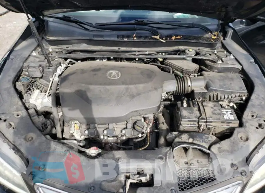 19UUB2F32FA006556 Photo# 11