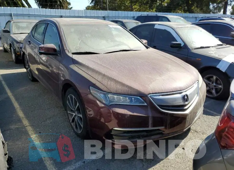 19UUB2F34FA015369 Photo# 4
