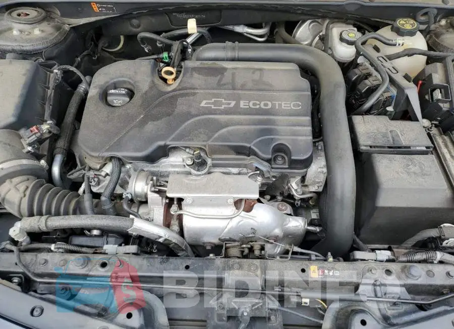 1G1ZD5ST5JF142917 Photo# 11