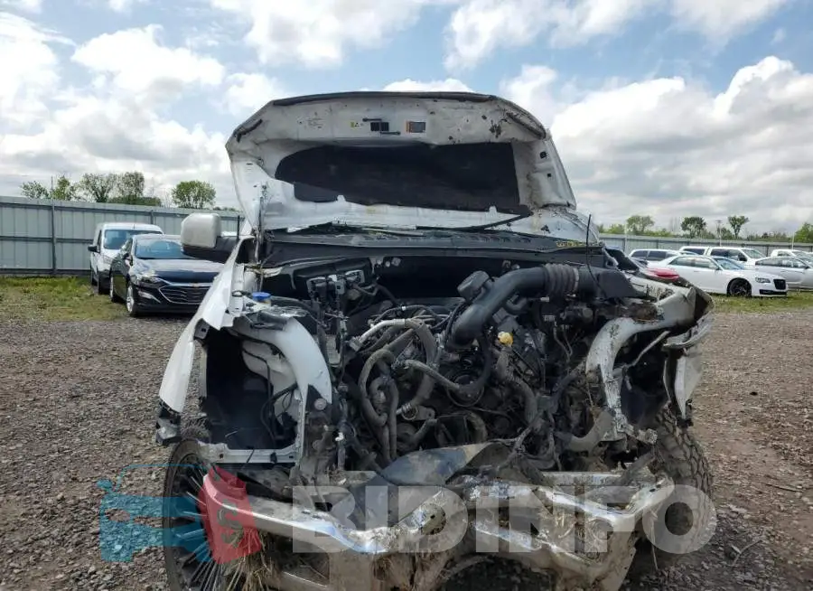1FTFW1E56JFA37765 Photo# 5