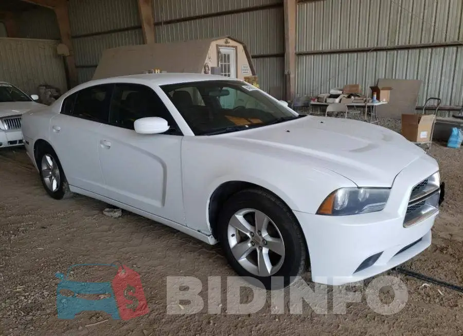 2C3CDXBG9EH322017 Photo# 4