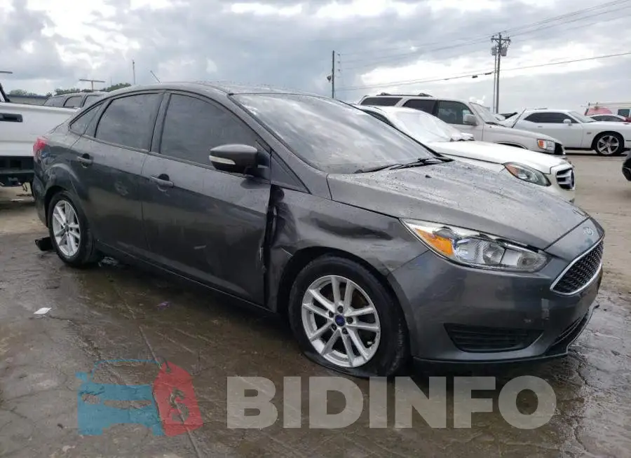 1FADP3F29GL300576 Photo# 4