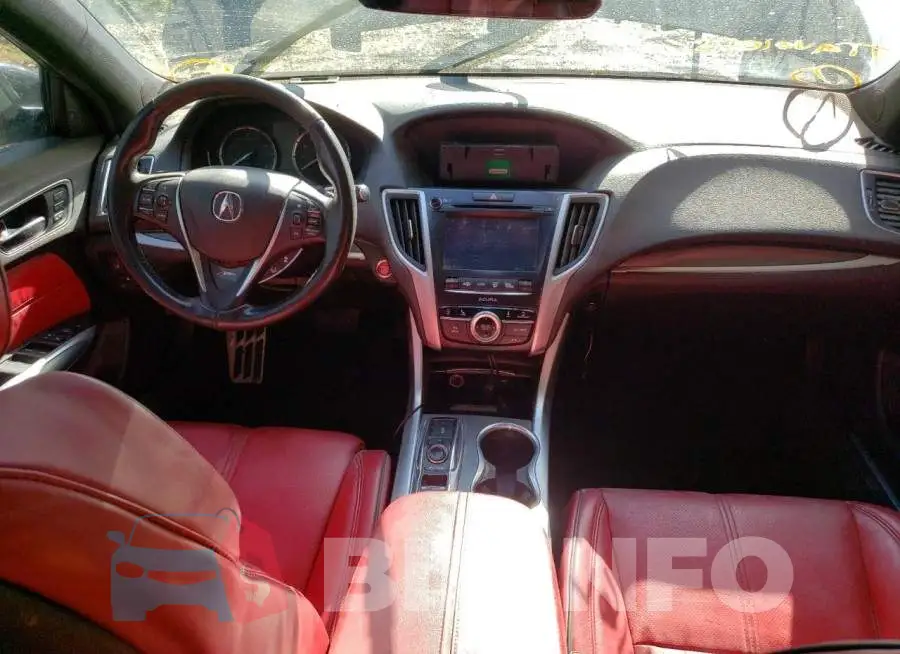 19UUB2F61KA009534 Photo# 8