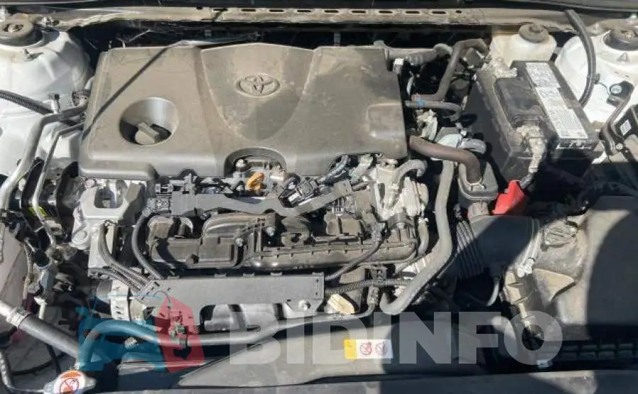 4T1G11AK2MU541627 Photo# 7