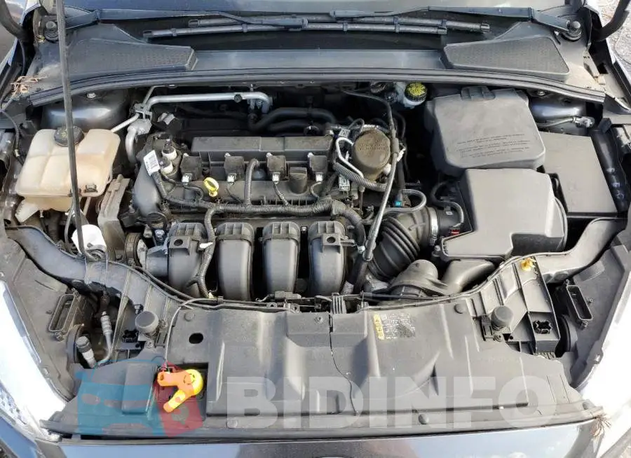 1FADP3F25GL200801 Photo# 11