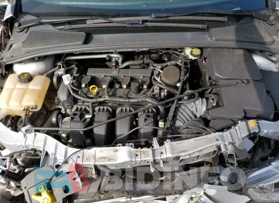 1FADP3F29GL280233 Photo# 11