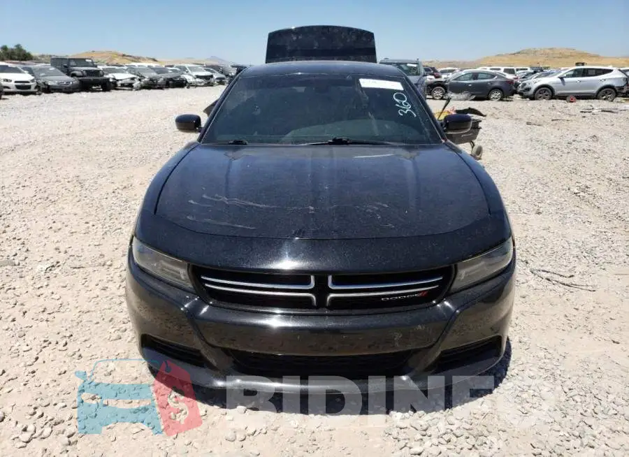 2C3CDXBG8FH826916 Photo# 5