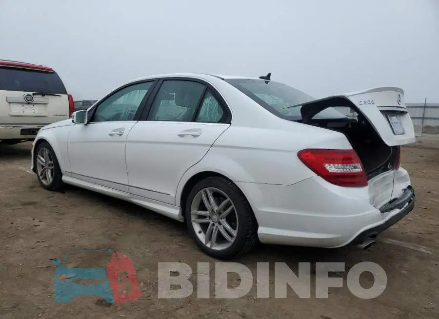 WDDGF8AB2EA888351 Photo# 2