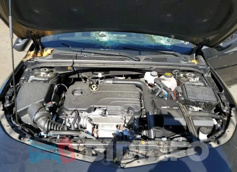 1G1ZD5ST5PF174484 Photo# 11