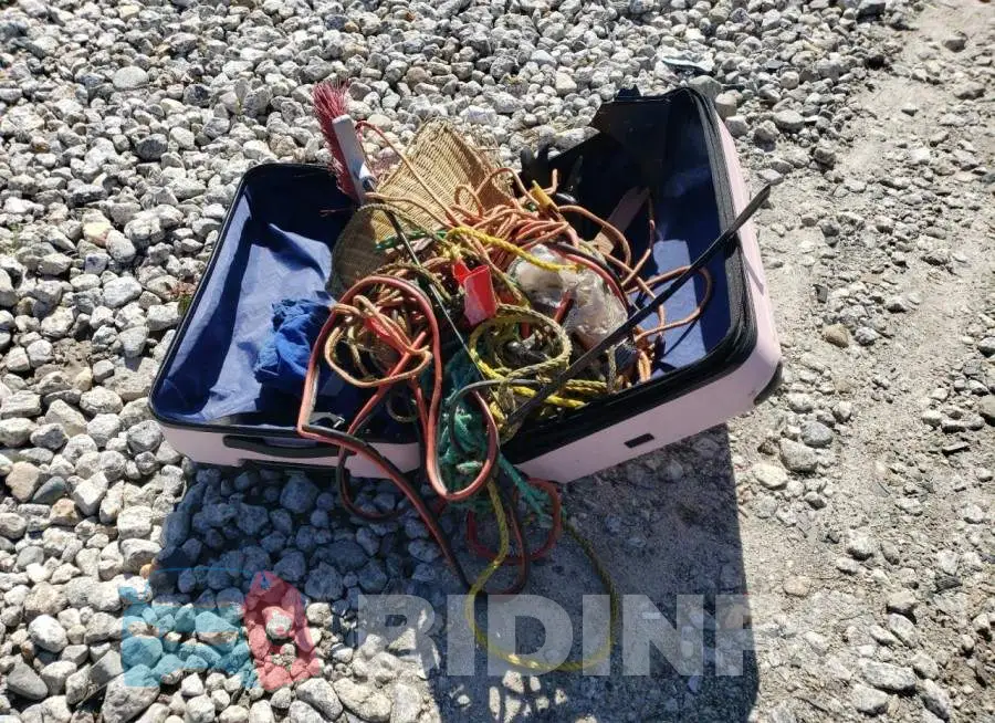 19XFC2F53GE202025 Photo# 12