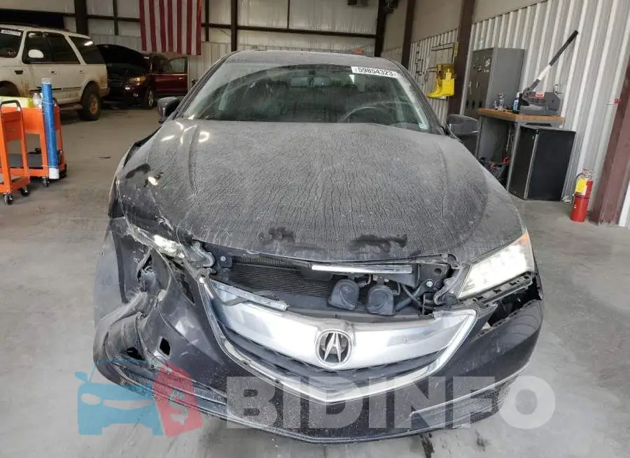 19UUB2F34GA011789 Photo# 5