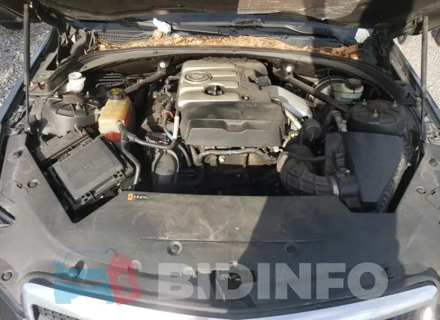 1G6AA5RX8E0143674 Photo# 11