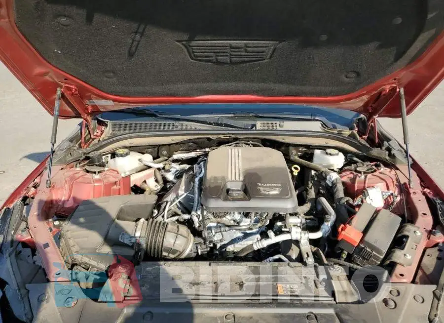 1G6DP5RK8M0135847 Photo# 11