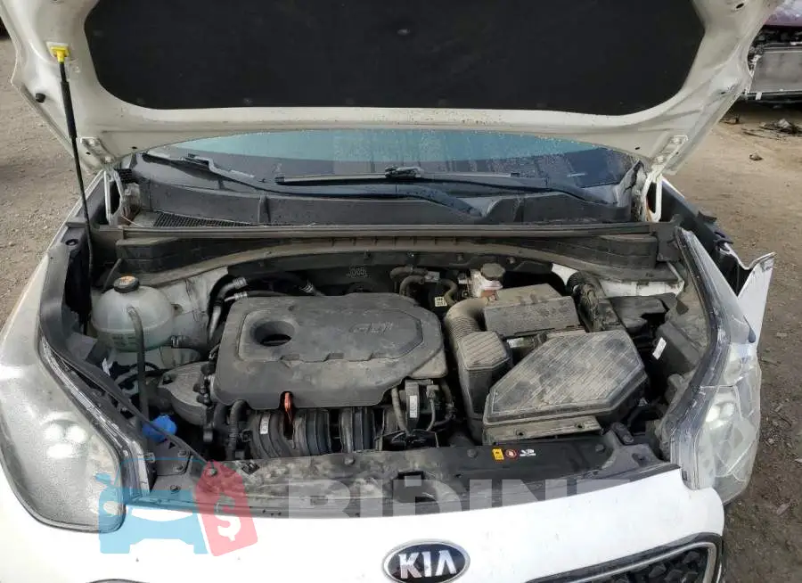 KNDPN3AC8K7521391 Photo# 12