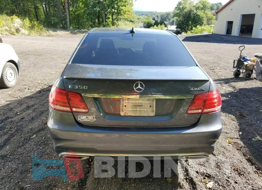 WDDHF8JB7EA973674 Photo# 6