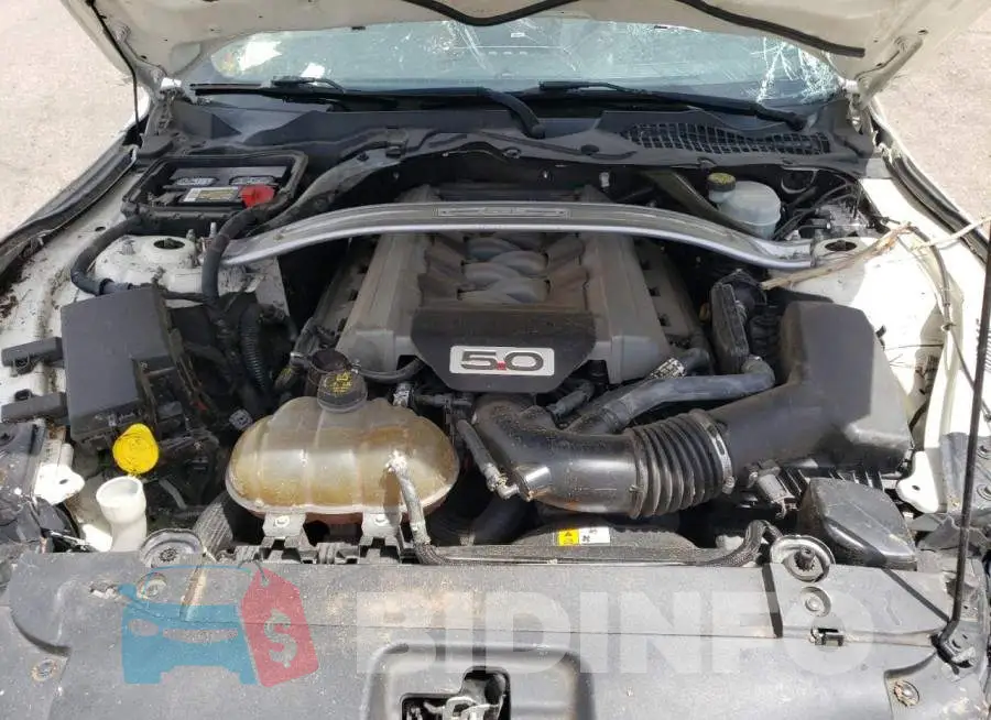 1FA6P8RF4F5501941 Photo# 11