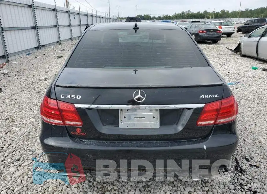 WDDHF8JBXEA813532 Photo# 6