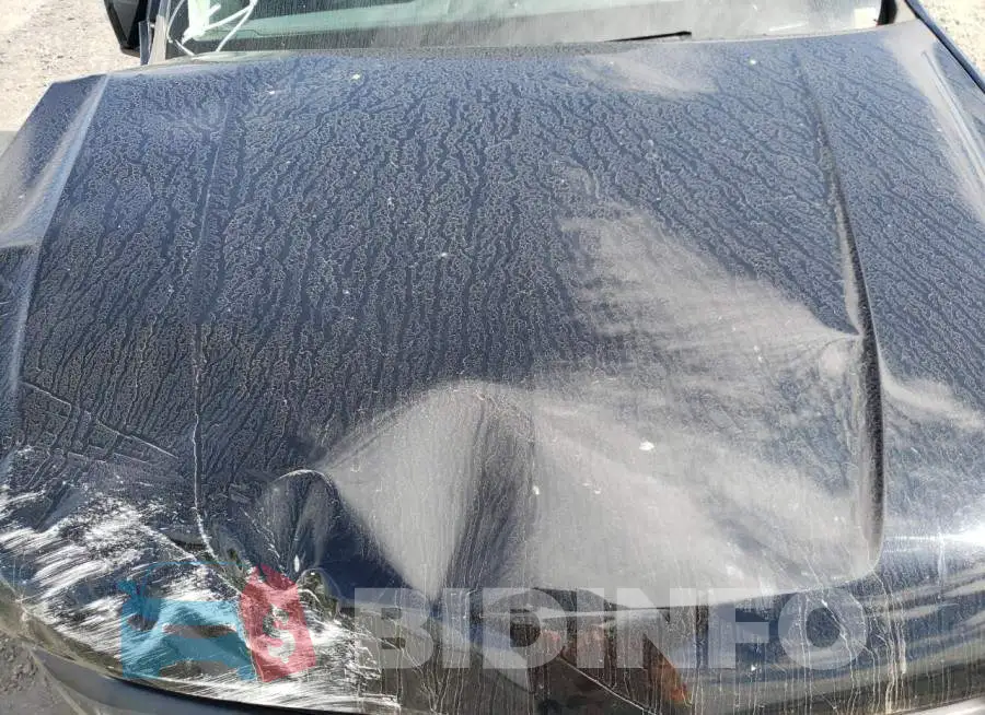 1GCGTCE34F1196036 Photo# 11