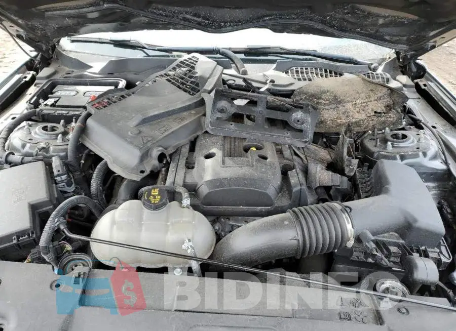 1FA6P8TH8K5147166 Photo# 11