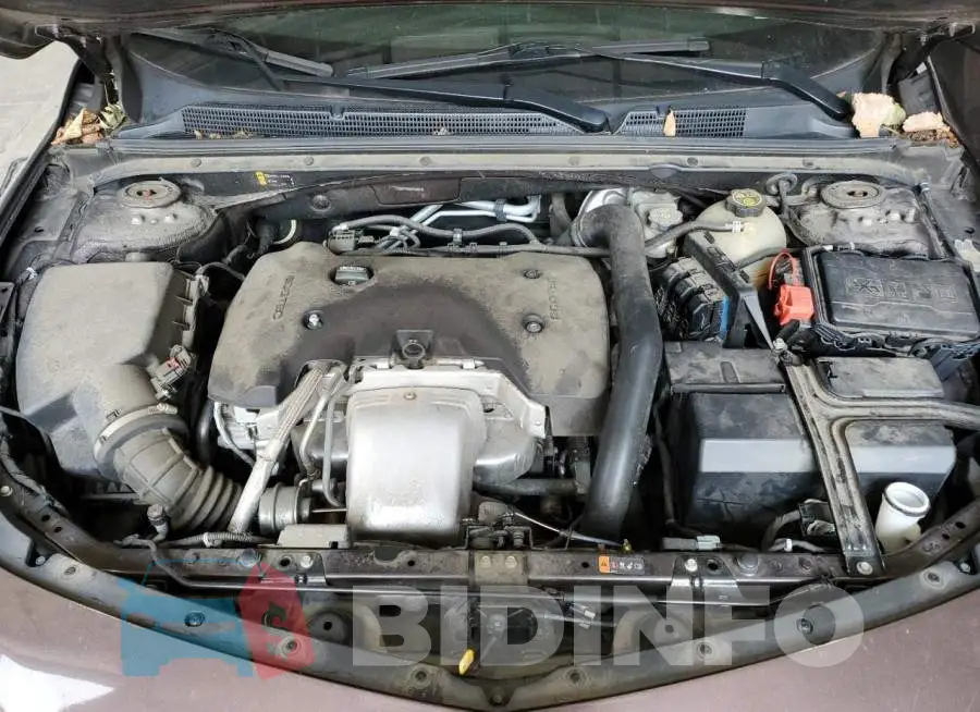 1G1ZF5SX3GF326064 Photo# 11