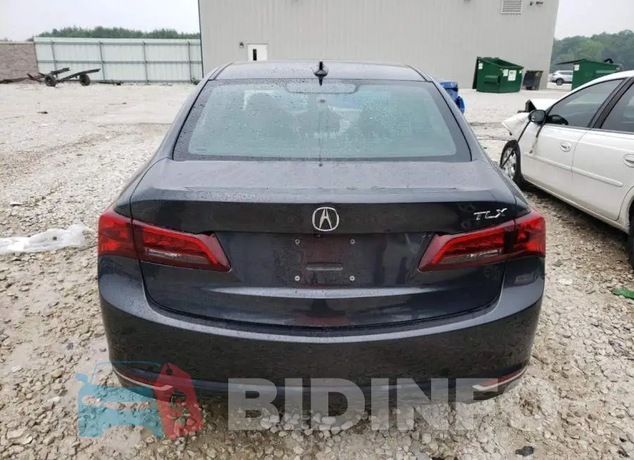 19UUB1F36GA000061 Photo# 6