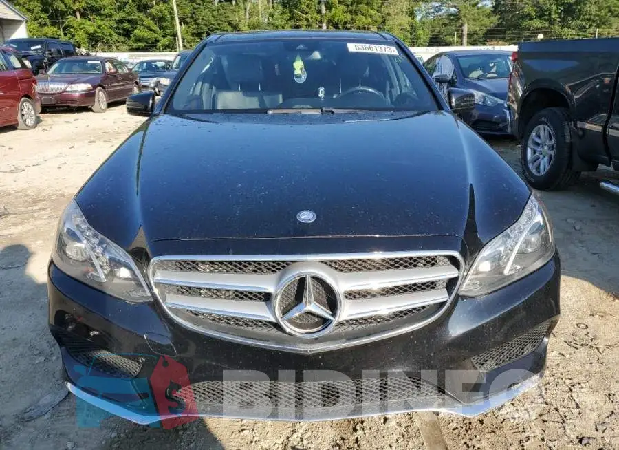 WDDHF8JBXGB169706 Photo# 5