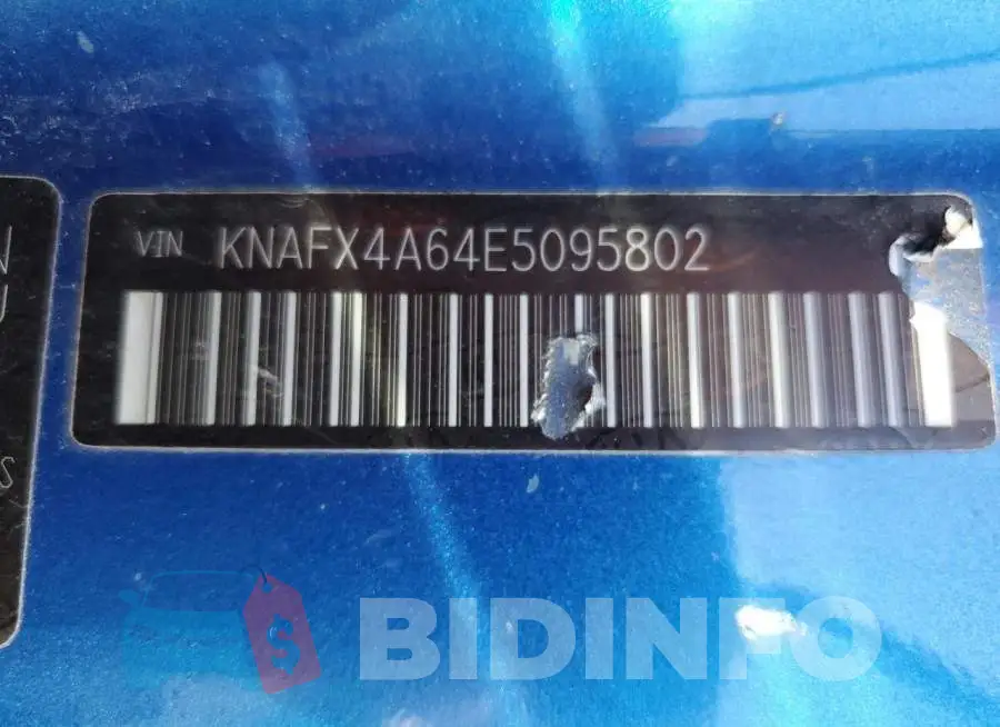 KNAFX4A64E5095802 Photo# 12