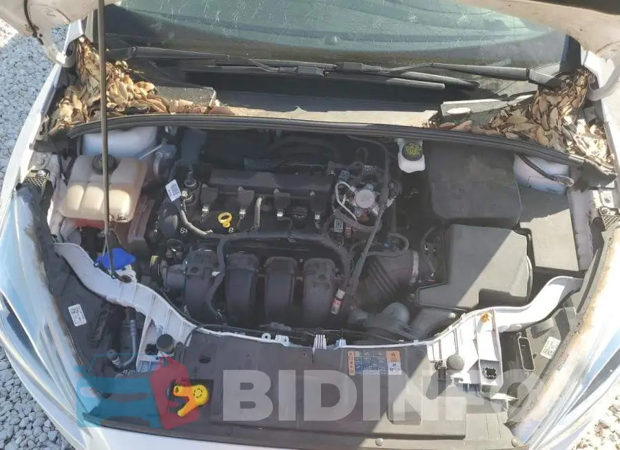 1FADP3N29JL240176 Photo# 11