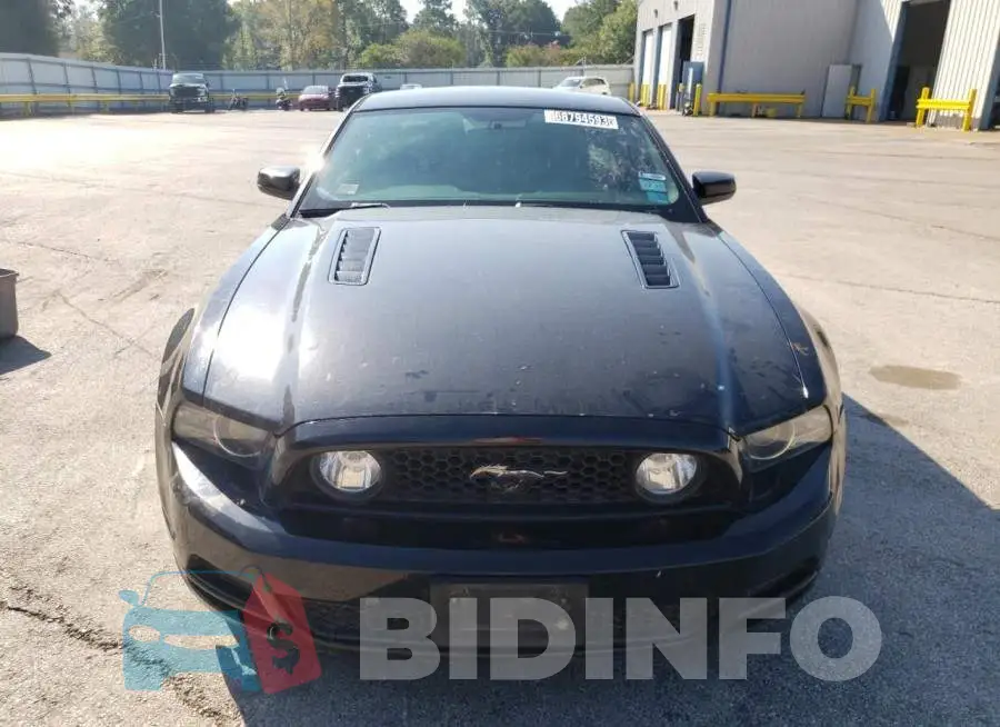 1ZVBP8CF4E5298871 Photo# 5