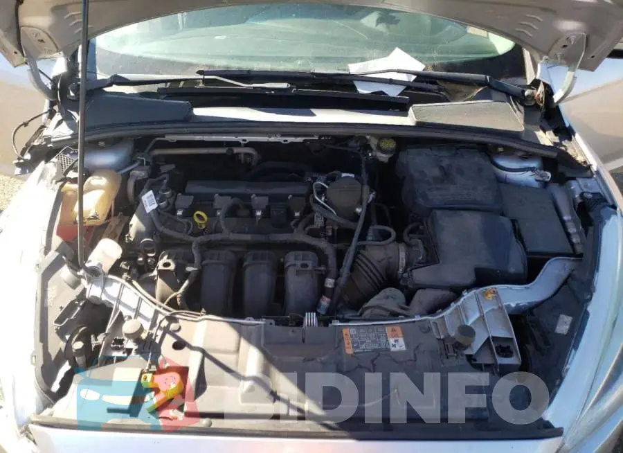1FADP3F22GL245260 Photo# 11