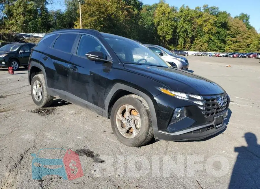 5NMJBCAE5PH181875 Photo# 4