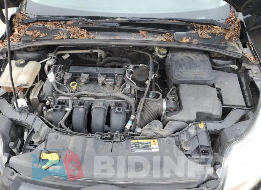 1FADP3F24EL218235 Photo# 11
